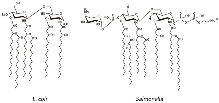 Pyrogen_Detection_img02.jpg