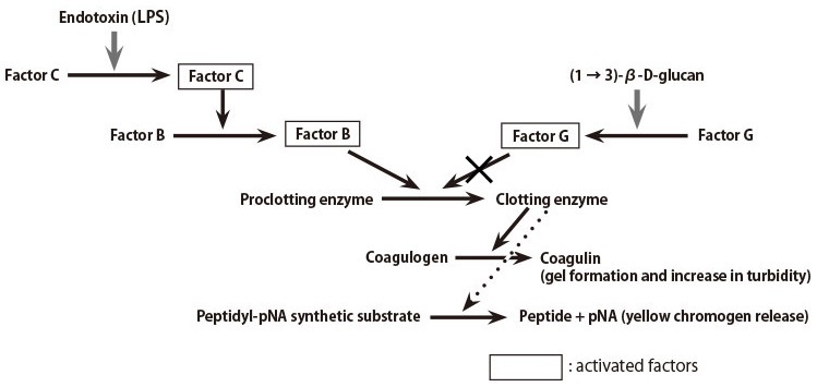 Pyrogen_Detection_img03.jpg