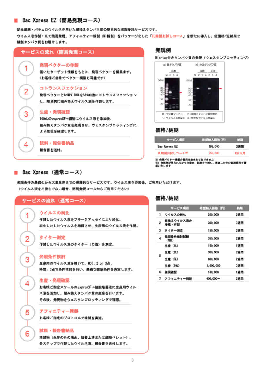 カタログイメージ