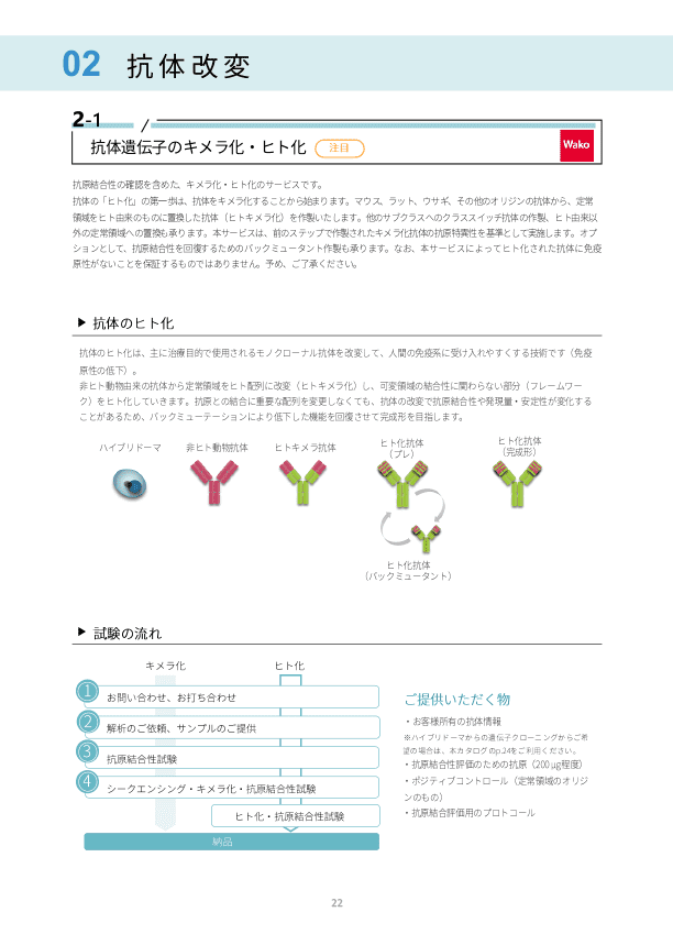 抗体関連受託サービスカタログイメージ