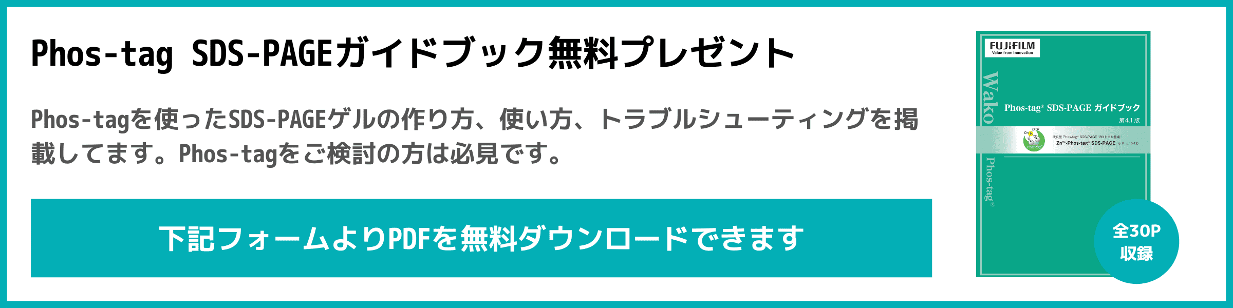 Phos-tag SDS-PAGEガイドブック無料プレゼント