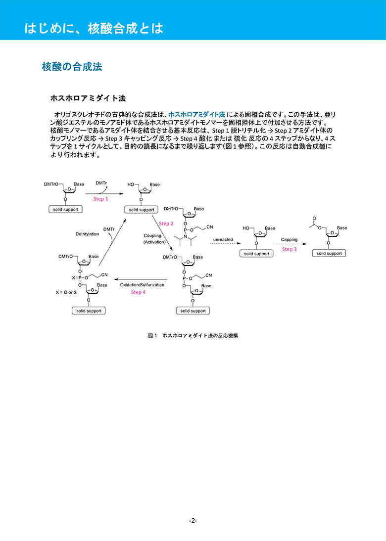 カタログイメージ