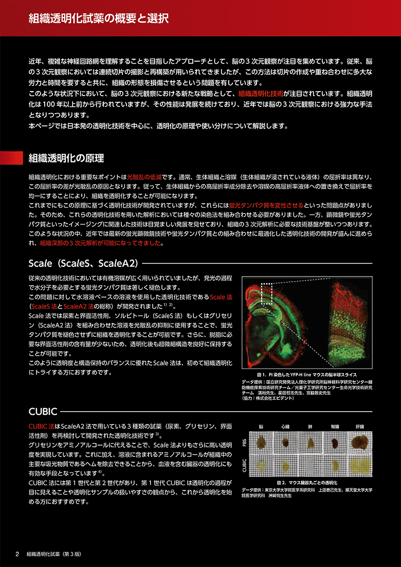 組織透明化試薬カタログ イメージ