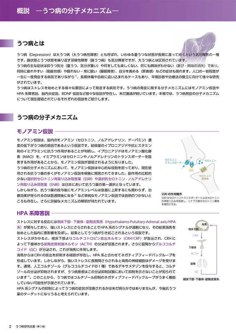 うつ病研究試薬カタログ 2ページ目