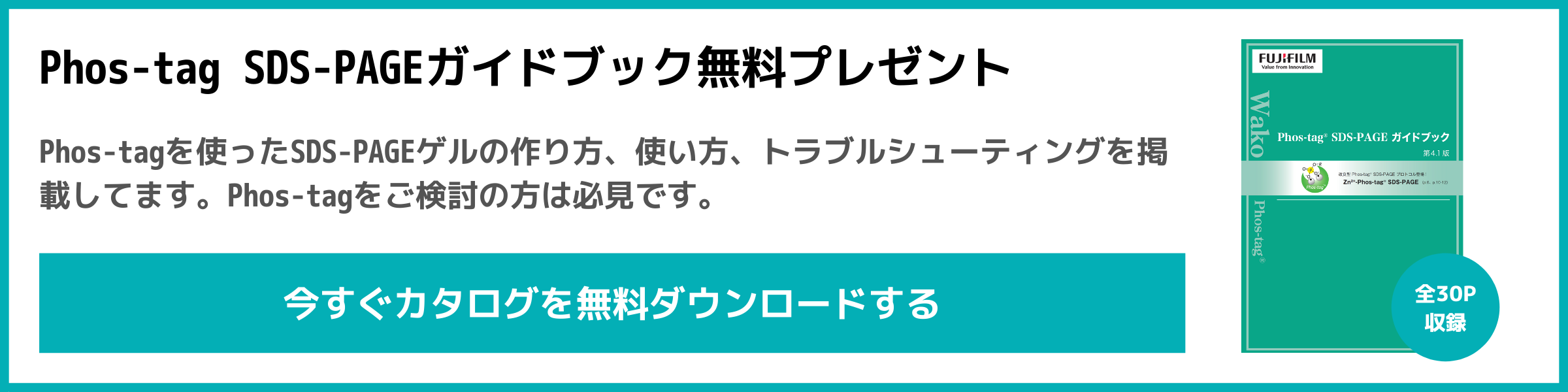 Phos-tag SDS-PAGEガイドブック ダウンロードはこちら