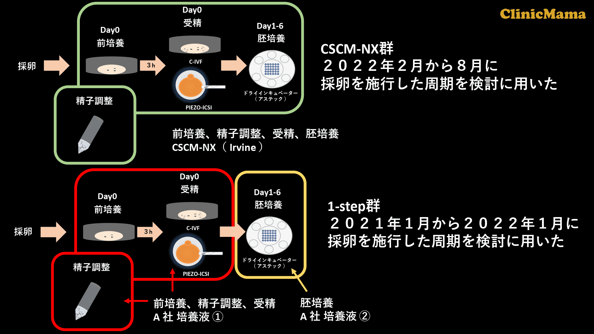 イメージ：検討プロトコール