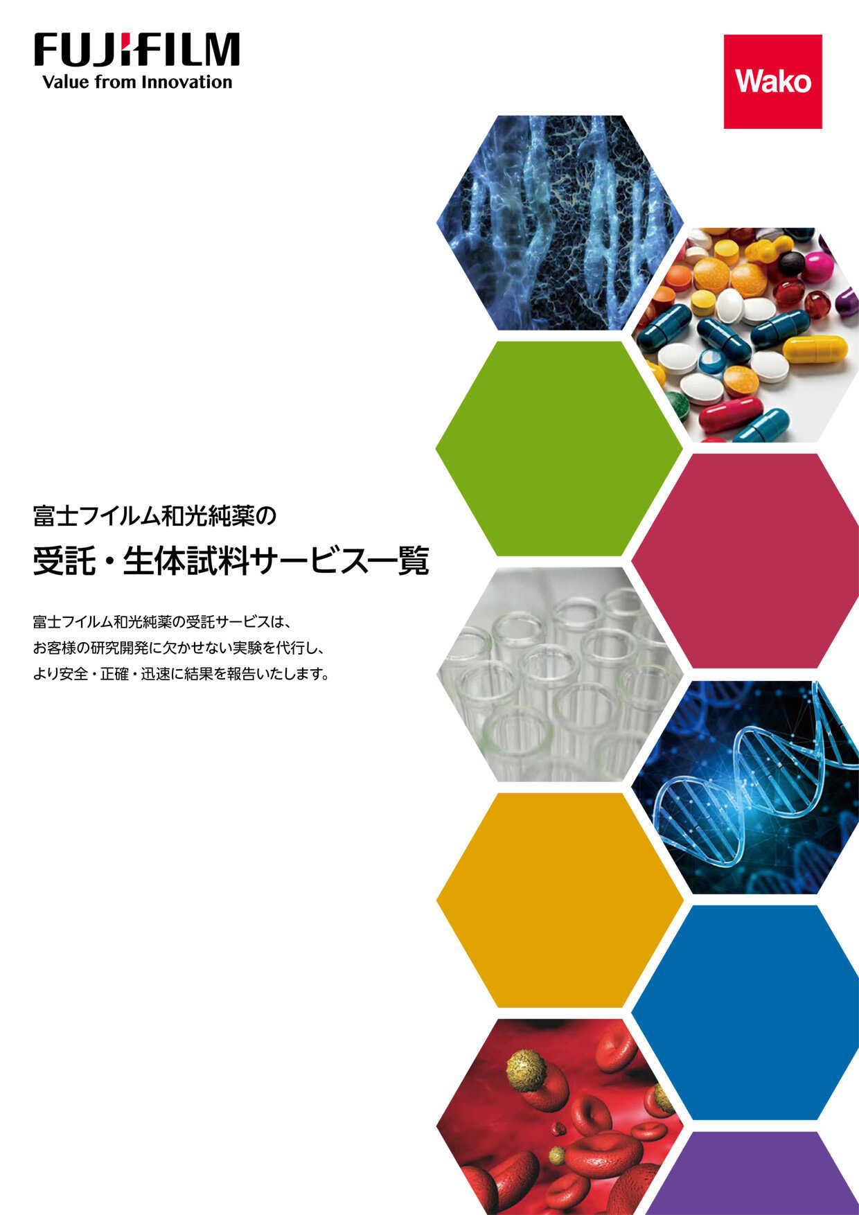 富士フイルム和光純薬の受託・生体試料サービス一覧カタログ表紙イメージ