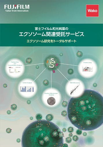 カタログ表紙