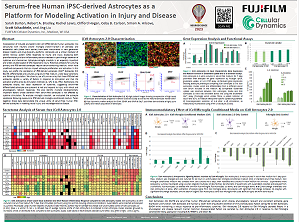 Serum-free Human iPSC-derived Astrocytes as a Platform for Modeling Astrocyte Activation in Injury and Disease