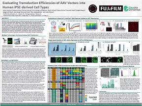 Evaluating Transduction Efficiencies of AAV Vectors into Human iPSC-derived Cell Types