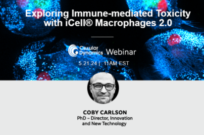 Exploring Immune-mediated Toxicity with iCell<sup>®</sup> Macrophages 2.0