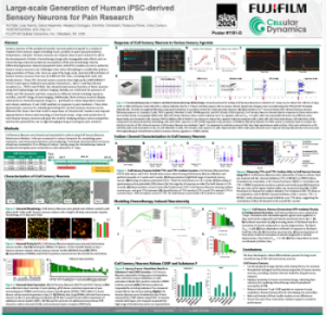 Highly Consistent Human iPSC-derived Excitatory Induced Neurons for Disease Modeling and Drug Discovery