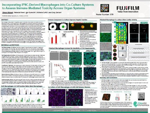 Real-Time Monitoring of Immune-Mediated DILI in Human iPSC-Derived Isogenic Liver Co-Culture