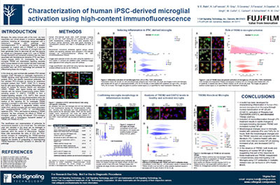 Characterization of human iPSC-derived microglial activation using high-content immunofluorescence