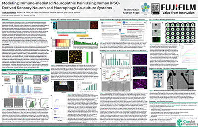 Modeling Immune-mediated Neuropathic Pain Using Human iPSC-Derived Sensory Neuron and Macrophage Co-culture Systems