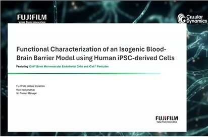 Functional Characterization of an Isogenic Blood Brain Barrier Model using Human iPSC derive