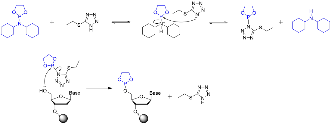 EDCPによるキャッピング反応