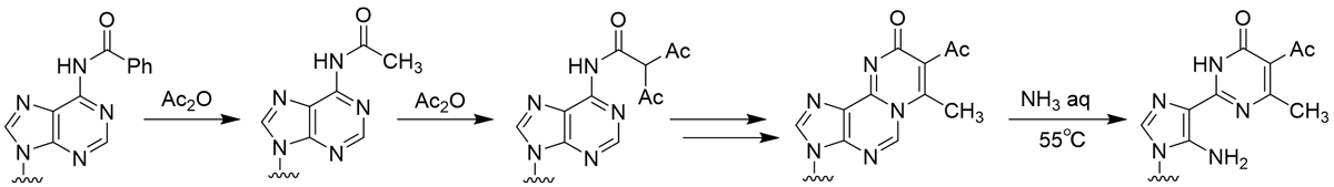 アデノシン由来の不純物の生成