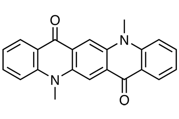 LT-E503