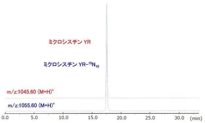 ミクロシスチンYR及びYRの15N標識体のLC/MSクロマトグラム