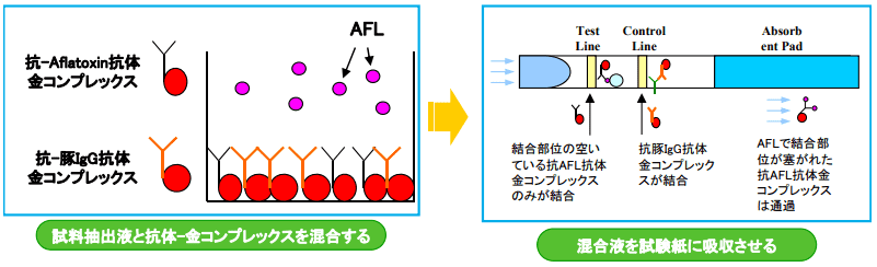 検出原理