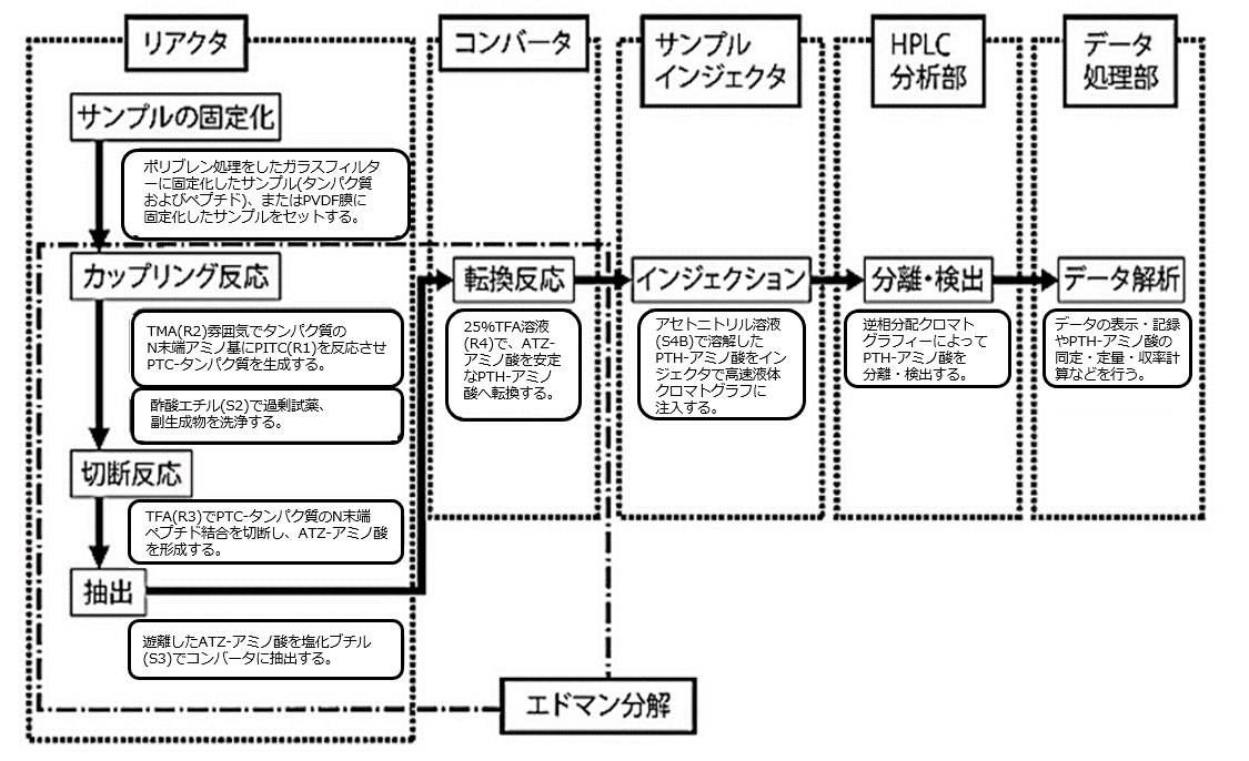 図2：アミノ酸配列自動分析のフローチャート