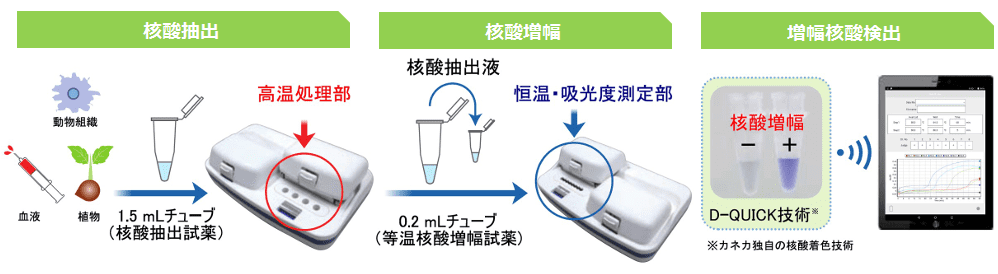 等温核酸増幅反応