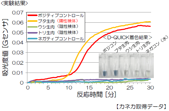 LAMP法による動物種判別