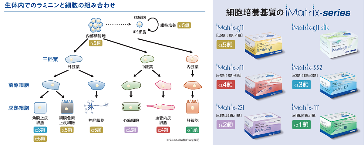 iMatrix_マトリクソーム_ニッピ