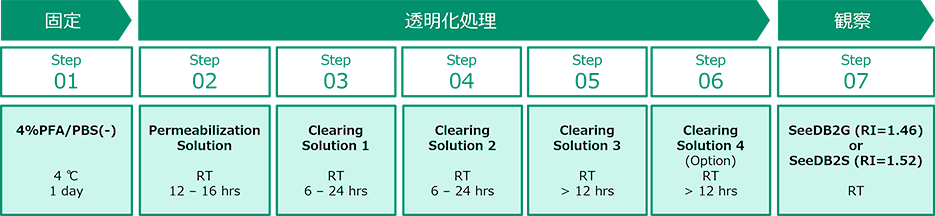 マウス脳0.5-2 mm厚スライスの場合