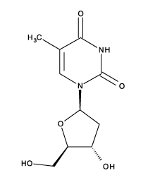 Thymidine