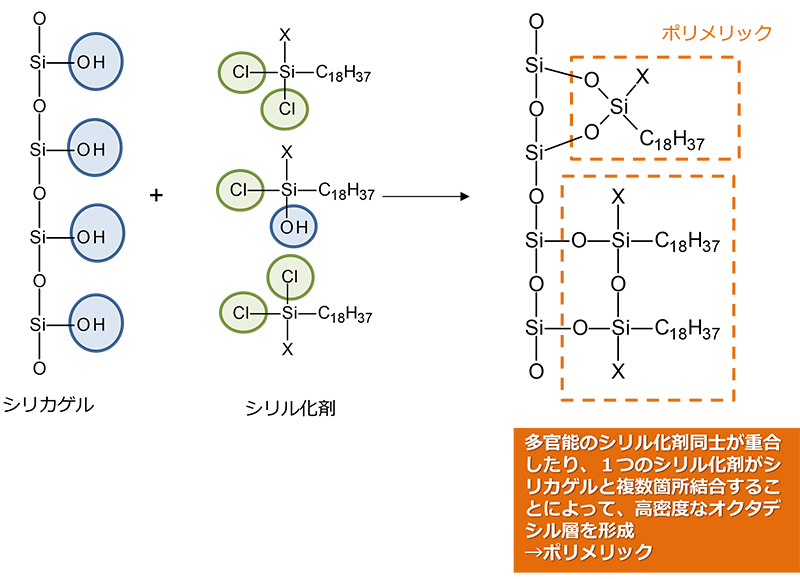 ポリメリック