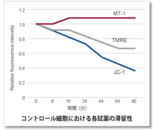 コントロール細胞における各試薬の滞留性