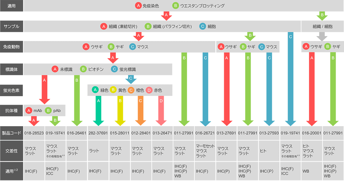 選択チャート