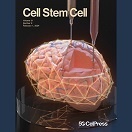 Strengthening cardiac therapy pipelines using human pluripotent stem cell-derived cardiomyocytes.