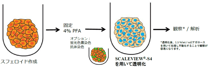 操作手順イメージ