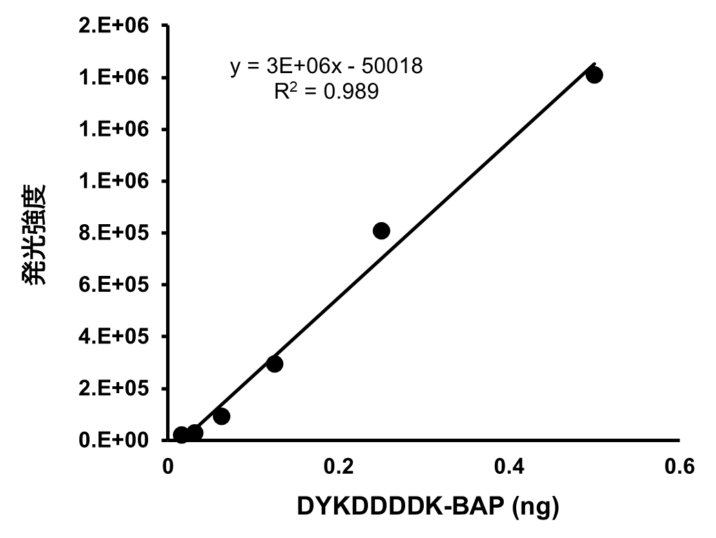 定量ダイナミックレンジ
(グラフ)