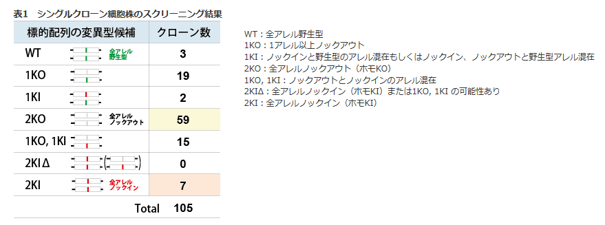 Cas9タンパク質の全アレルノックイン(ホモKI)候補サンプル例