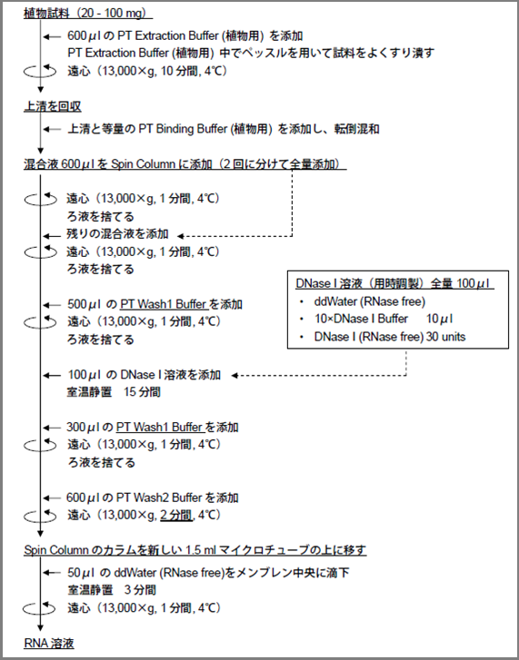 ISOSPIN_Plant_RNAのプロトコル