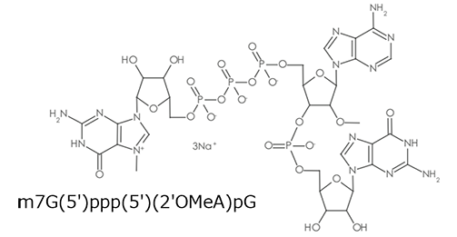 CleanCap Reagent AGの構造式