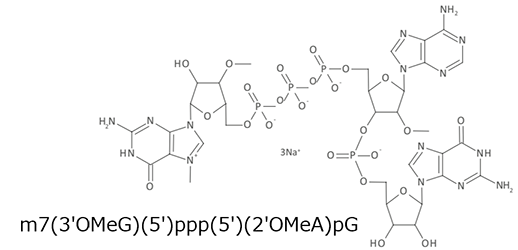 CleanCap Reagent AG (3' OMe)の構造式