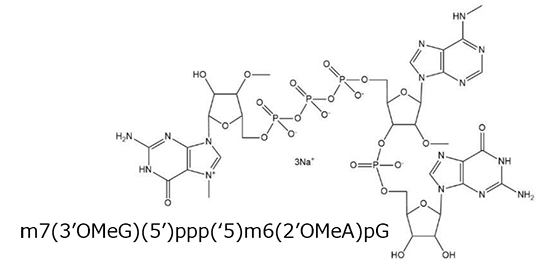 CleanCap Reagent M6の構造式