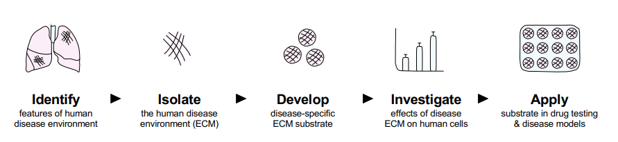 “ECM”