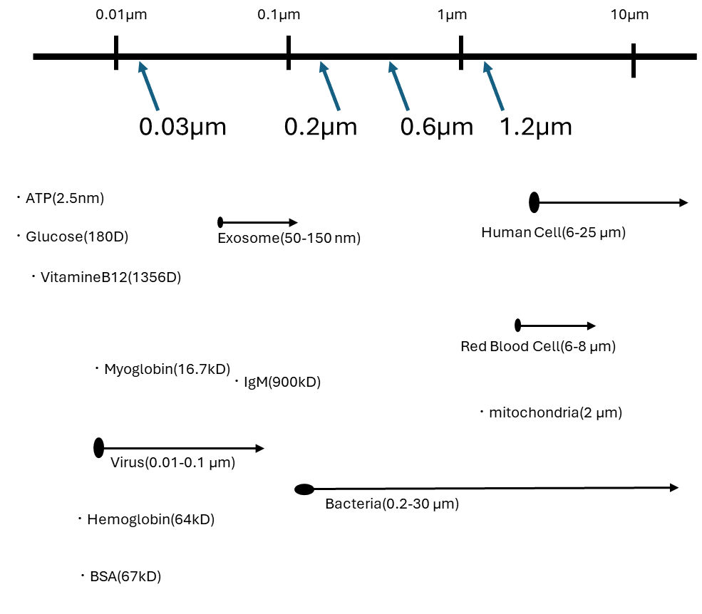 フィルターと物質のサイズ比較表