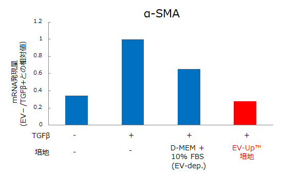 α-SMA