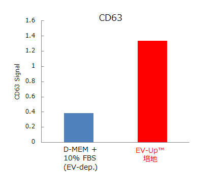 CD63