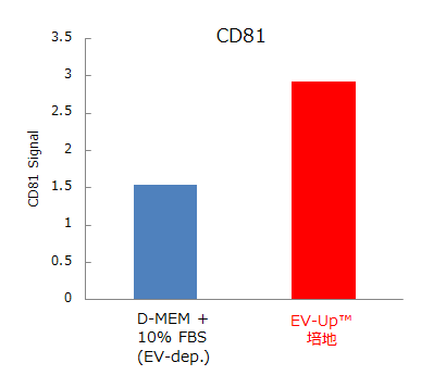 CD81