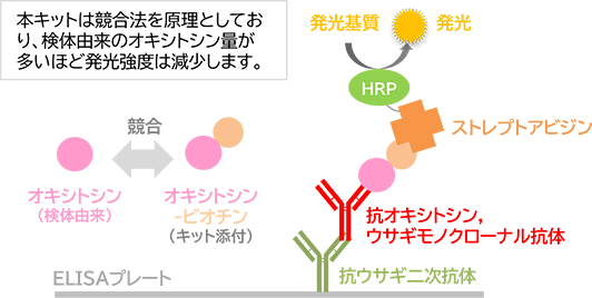 本キットは競合法を原理としており、検体由来のオキシトシン量が多いほど発光強度は減少します。