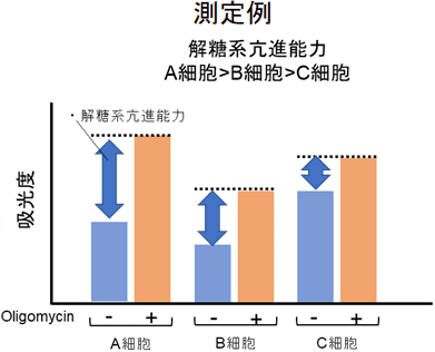 測定例