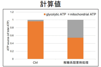 計算値